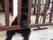 Превью фото № 179823