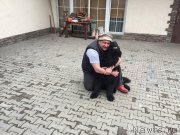 Превью фото № 179826