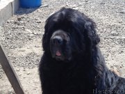 Превью фото № 179844