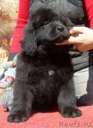 Превью фото № 179857