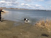 Превью фото № 179920