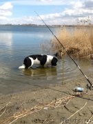 Превью фото № 179922