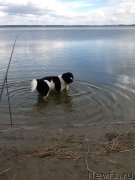 Превью фото № 179923