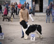 Превью фото № 179927