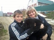 Превью фото № 179933