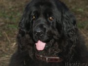 Превью фото № 179935