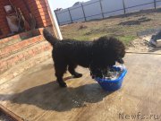 Превью фото № 179969