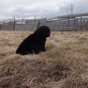 Превью фото № 179994