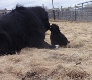 Превью фото № 179996