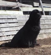 Превью фото № 180011