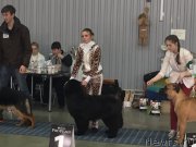 Превью фото № 180029