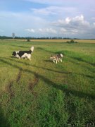 Превью фото № 180041