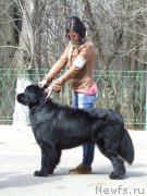 Превью фото № 180051