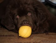 Превью фото № 180085