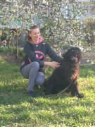 Превью фото № 180090