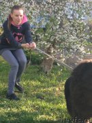 Превью фото № 180091