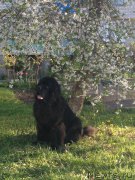 Превью фото № 180092