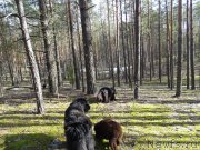 Превью фото № 180111