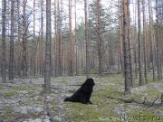 Превью фото № 180112