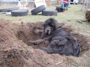 Превью фото № 180121