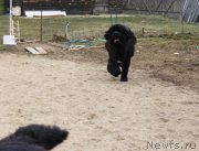 Превью фото № 180142