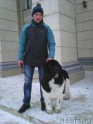 Превью фото № 180152