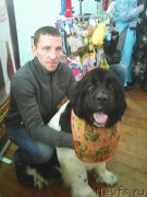 Превью фото № 180154