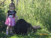 Превью фото № 180163