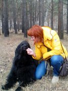 Превью фото № 180165