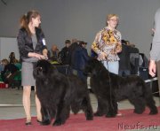 Превью фото № 180273