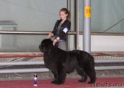 Превью фото № 180274