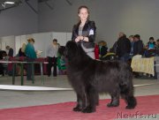 Превью фото № 180275