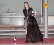 Превью фото № 180276