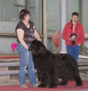 Превью фото № 180283