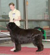 Превью фото № 180286