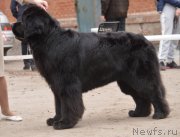 Превью фото № 180300