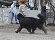 Превью фото № 180308