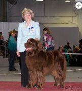 Превью фото № 180352