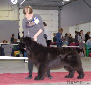 Превью фото № 180359