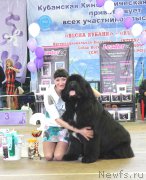 Превью фото № 180362