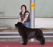 Превью фото № 180368