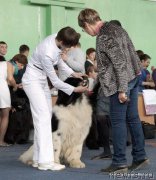 Превью фото № 180370