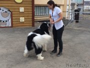 Превью фото № 180374