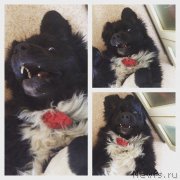 Превью фото № 180402