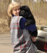 Превью фото № 180429