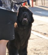 Превью фото № 180516