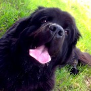 Превью фото № 180526