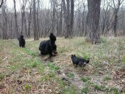 Превью фото № 180553