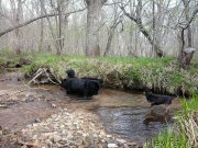 Превью фото № 180554