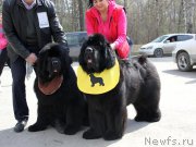 Превью фото № 180583